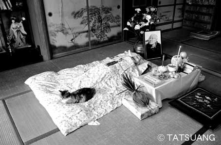 f:id:atarashism:20190614032904j:plain