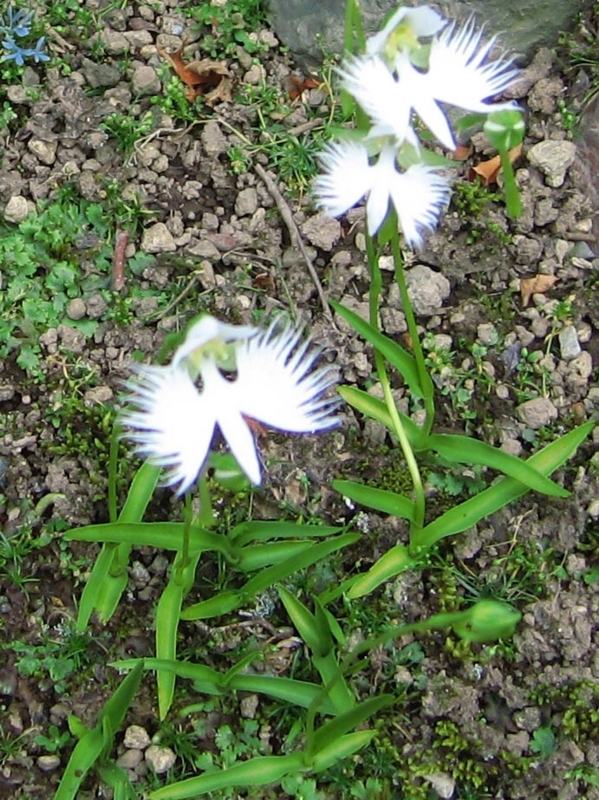 f:id:atarou:20090814053023j:image