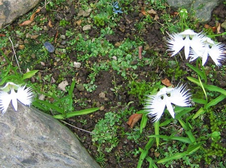 f:id:atarou:20090814061926j:image