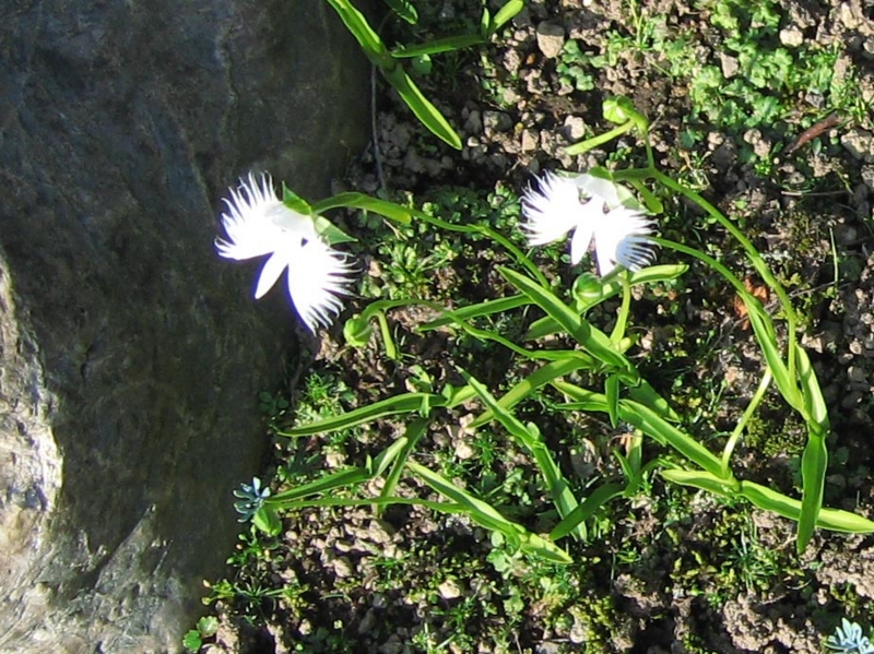 f:id:atarou:20090814064625j:image