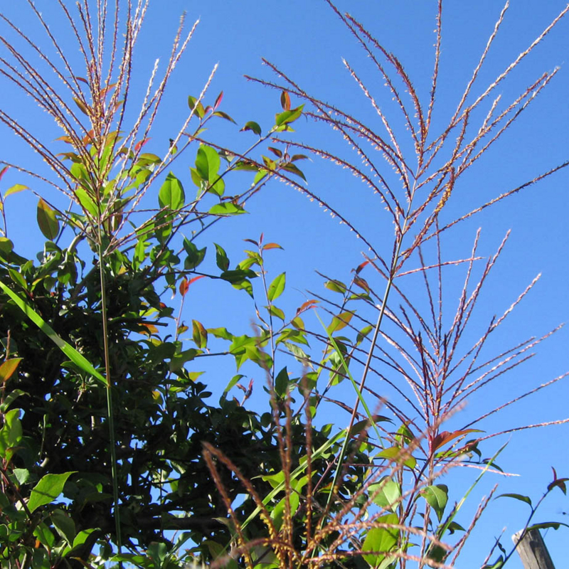 f:id:atarou:20090928060654j:image