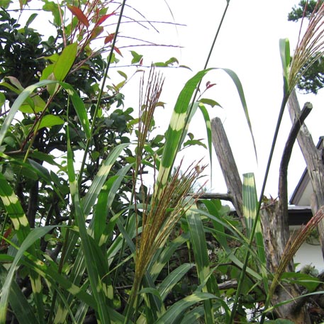 f:id:atarou:20090928063157j:image