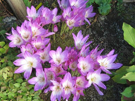 f:id:atarou:20090928064101j:image