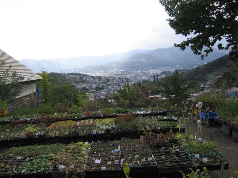 f:id:atarou:20091006050853j:image f:id:atarou:20091006050853j:image