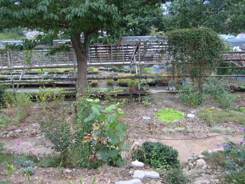 f:id:atarou:20091006063116j:image f:id:atarou:20091006063116j:image