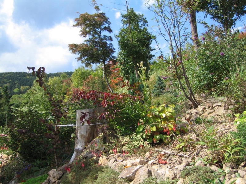 f:id:atarou:20091006064748j:image f:id:atarou:20091006064748j:image