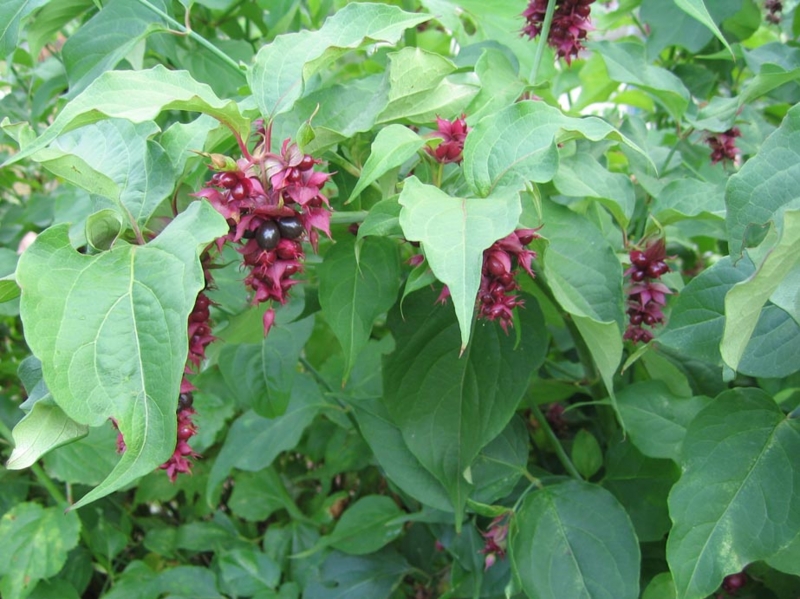 f:id:atarou:20091006065809j:image f:id:atarou:20091006065809j:image