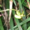 20091018051809
