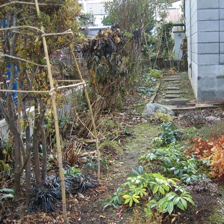 f:id:atarou:20091106064820j:image