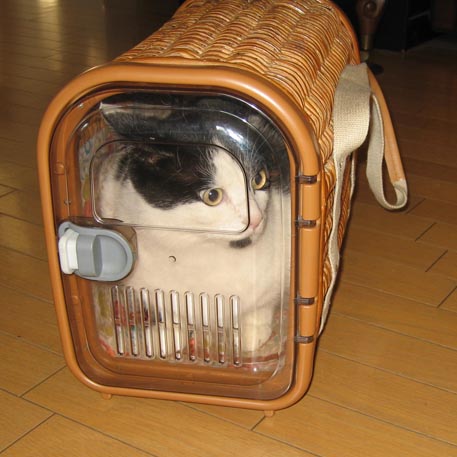 f:id:atarou:20091107060749j:image