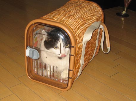 f:id:atarou:20091107060750j:image