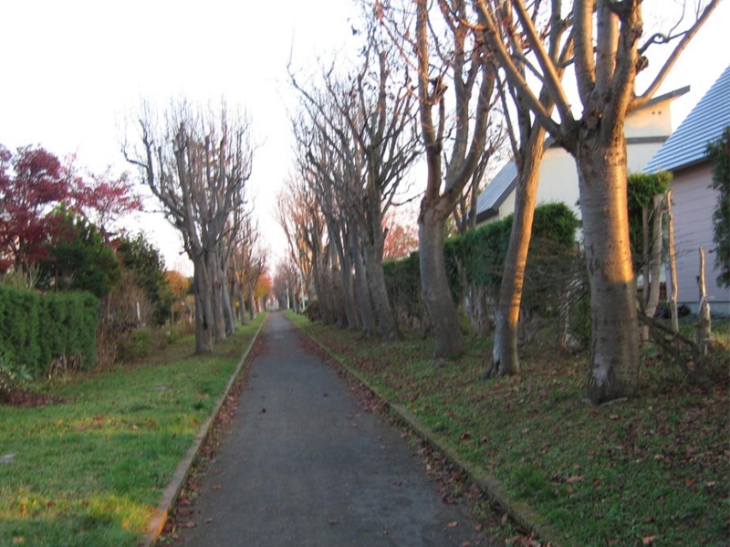 f:id:atarou:20091108063434j:image