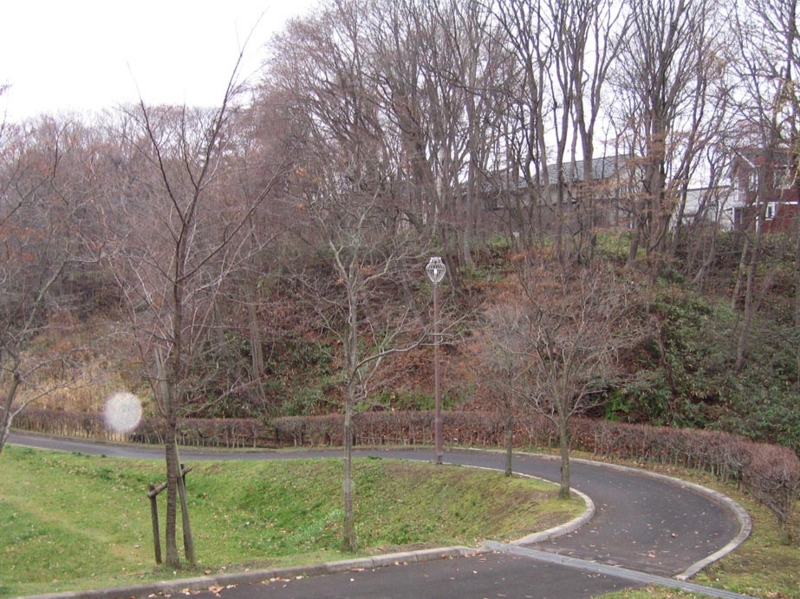 f:id:atarou:20091110070859j:image