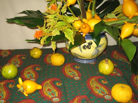 f:id:atarou:20091114041248j:image