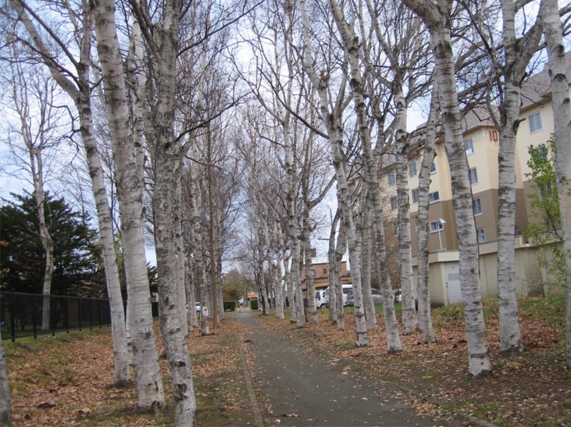f:id:atarou:20091114044135j:image