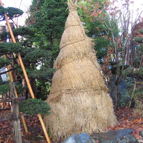 f:id:atarou:20091115200150j:image