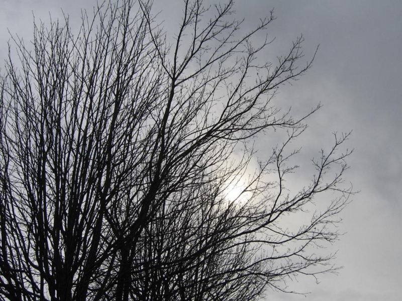 f:id:atarou:20091120040843j:image