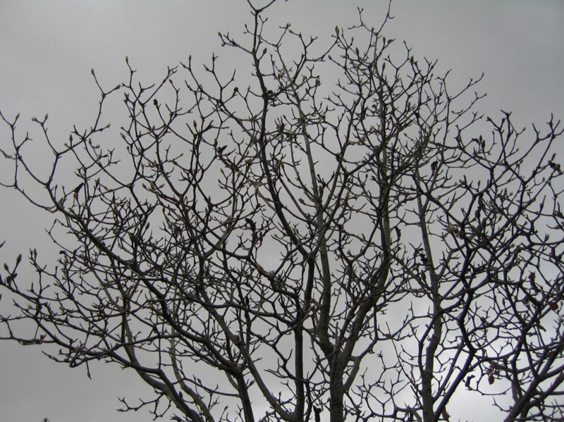 f:id:atarou:20091120045431j:image