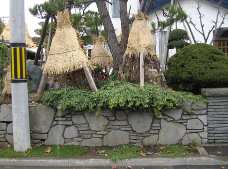 f:id:atarou:20091120052238j:image