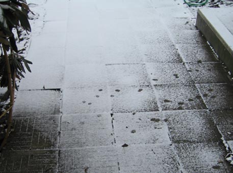 f:id:atarou:20091121055946j:image