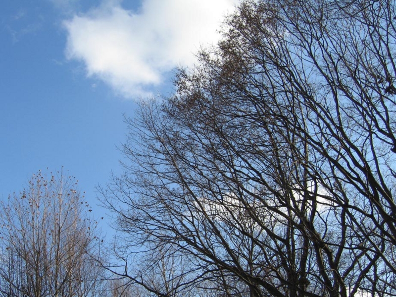 f:id:atarou:20091123062441j:image