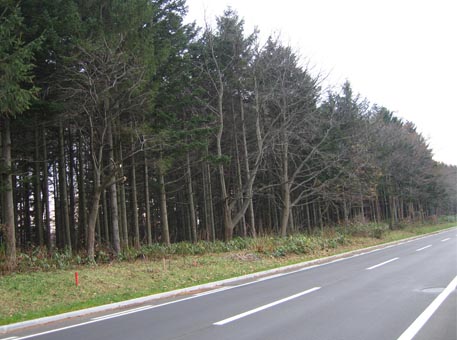 f:id:atarou:20091126063230j:image