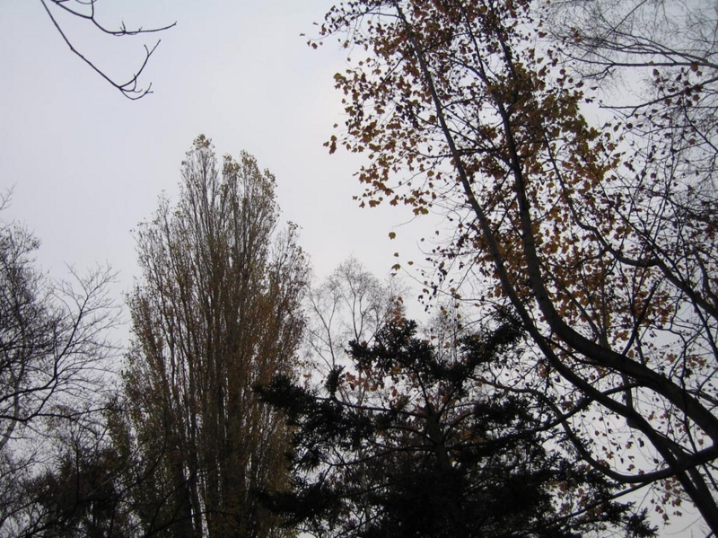 f:id:atarou:20091127061137j:image