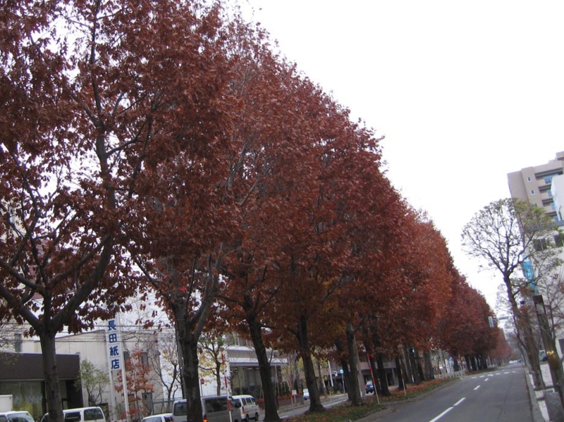 f:id:atarou:20091127062507j:image