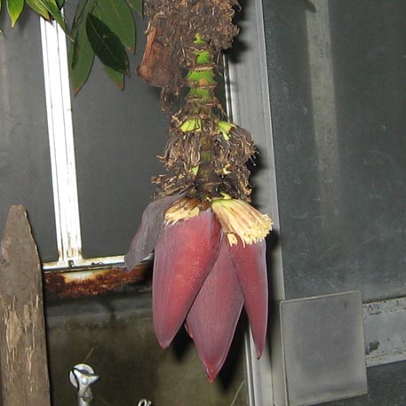 f:id:atarou:20091128055537j:image