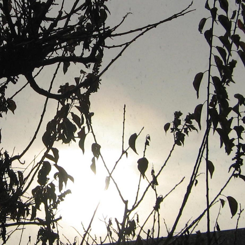 f:id:atarou:20091129052353j:image