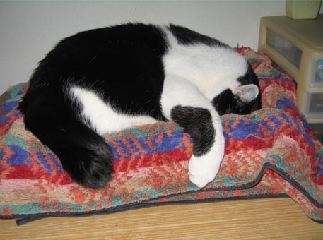 f:id:atarou:20100301194637j:image