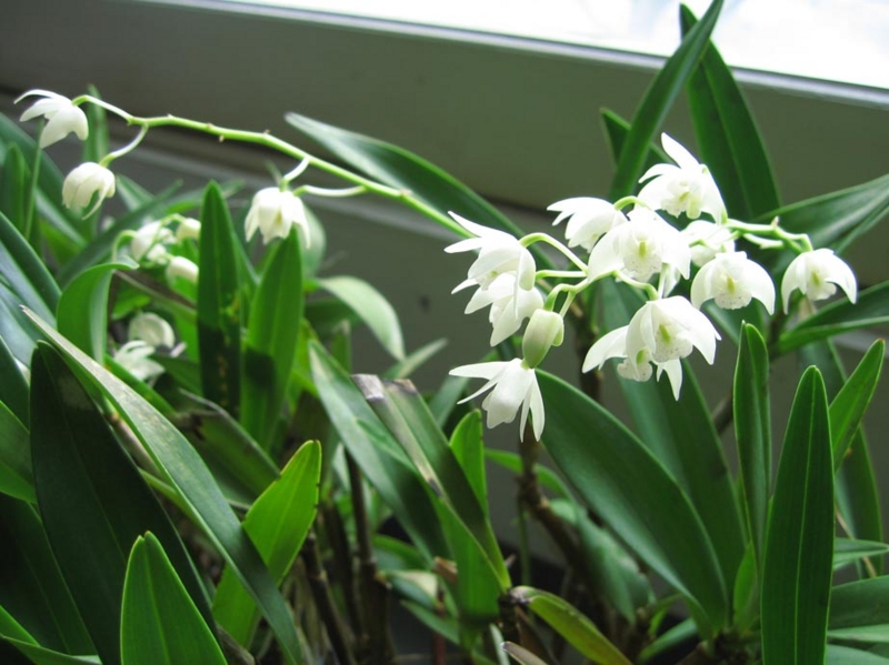 f:id:atarou:20100302065105j:image