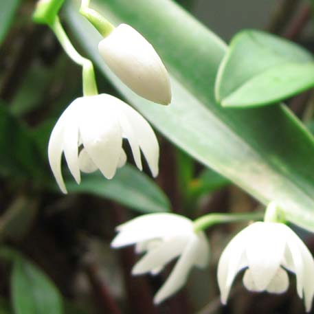 f:id:atarou:20100302065106j:image