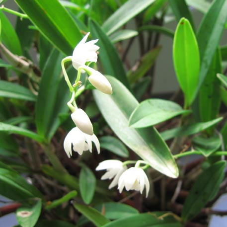 f:id:atarou:20100302065107j:image