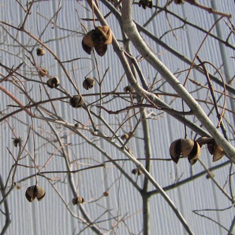 f:id:atarou:20100302180819j:image f:id:atarou:20100302180819j:image