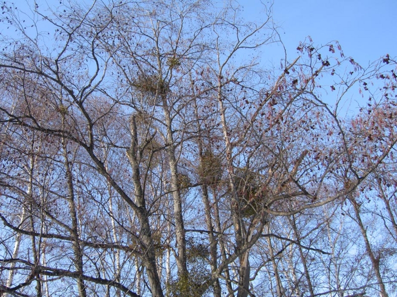 f:id:atarou:20100303054251j:image f:id:atarou:20100303054251j:image