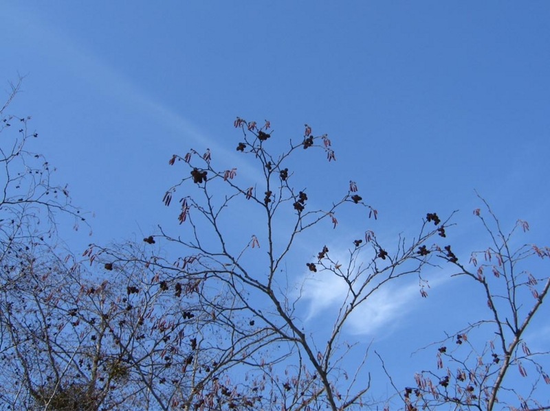 f:id:atarou:20100303054357j:image f:id:atarou:20100303054357j:image