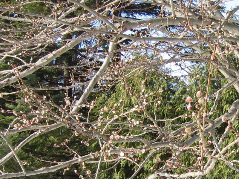 f:id:atarou:20100303055506j:image f:id:atarou:20100303055506j:image