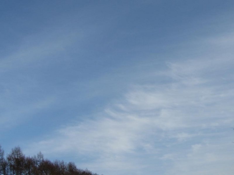 f:id:atarou:20100303061155j:image f:id:atarou:20100303061155j:image