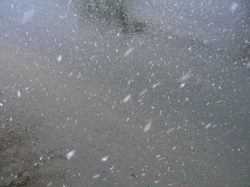 f:id:atarou:20100304050545j:image