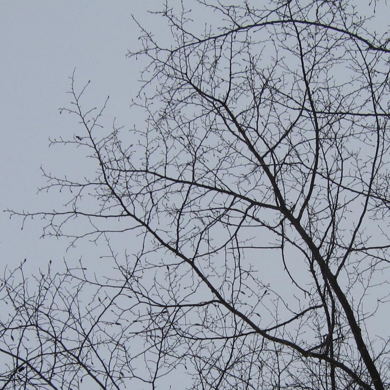f:id:atarou:20100304195412j:image