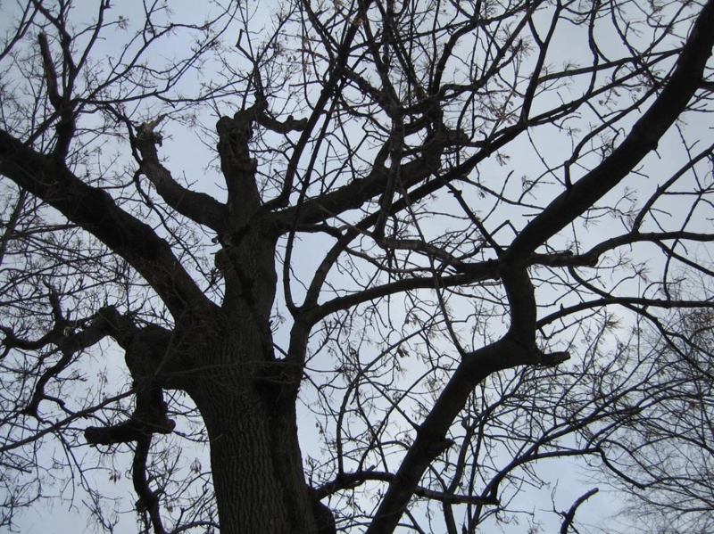 f:id:atarou:20100306041634j:image