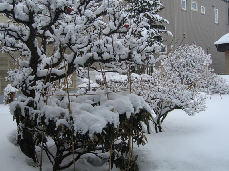 f:id:atarou:20100306045843j:image