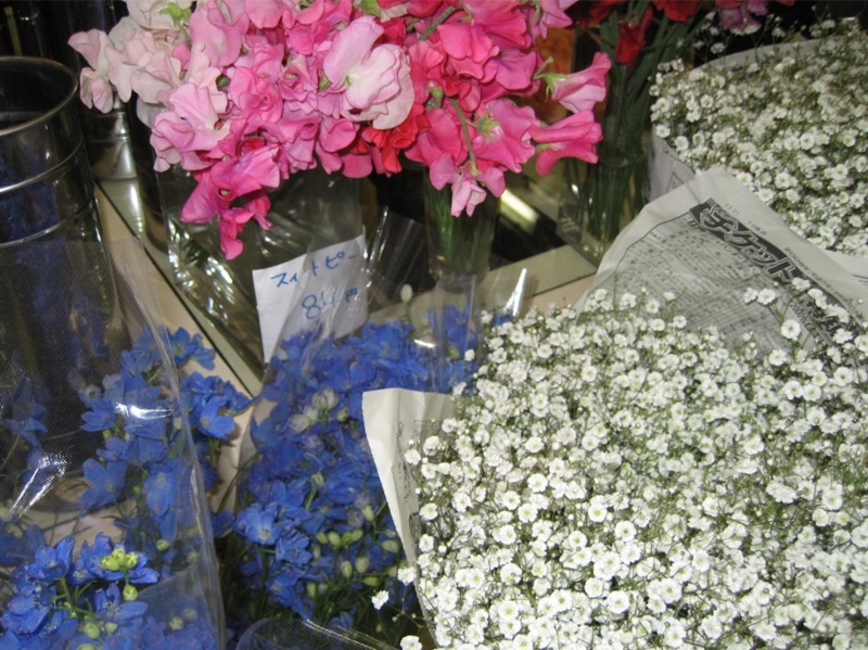 f:id:atarou:20100306053131j:image