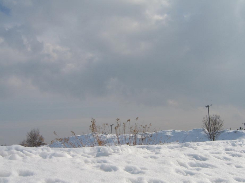 f:id:atarou:20100307062858j:image