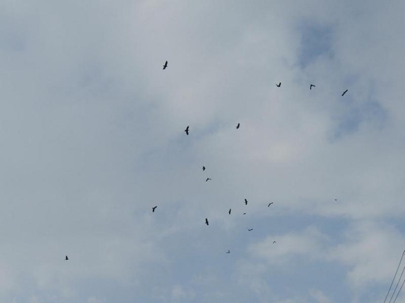 f:id:atarou:20100307063947j:image