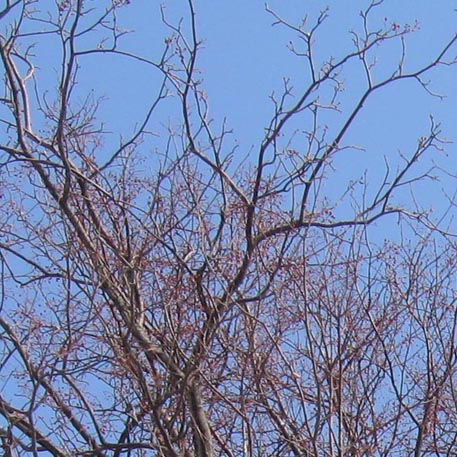 f:id:atarou:20100307063951j:image