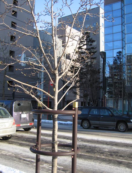 f:id:atarou:20100309045641j:image f:id:atarou:20100309045641j:image