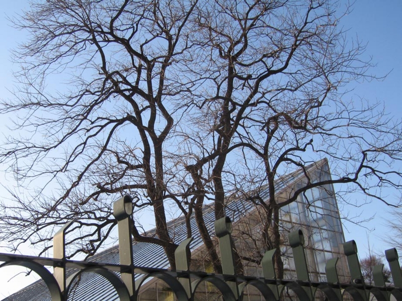f:id:atarou:20100309050840j:image f:id:atarou:20100309050840j:image