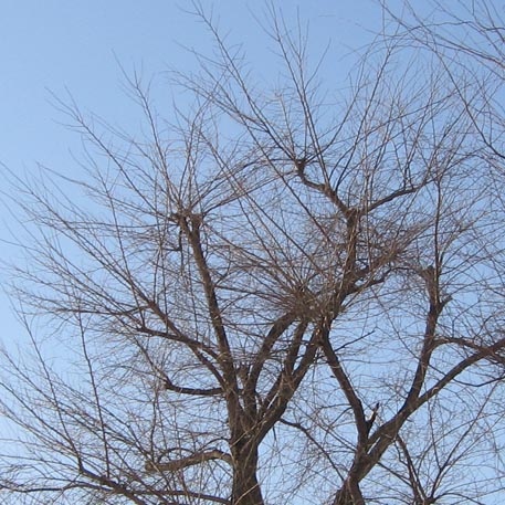 f:id:atarou:20100309050846j:image f:id:atarou:20100309050846j:image